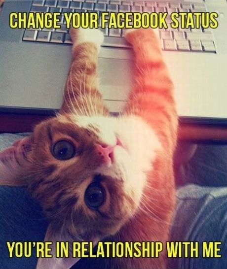Change Your Facebook Status