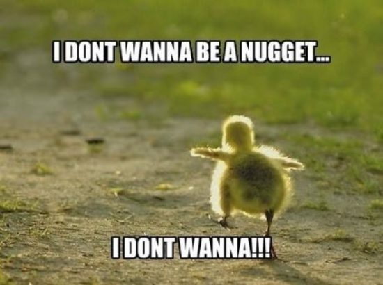 Dont Wanna Be A Nugget