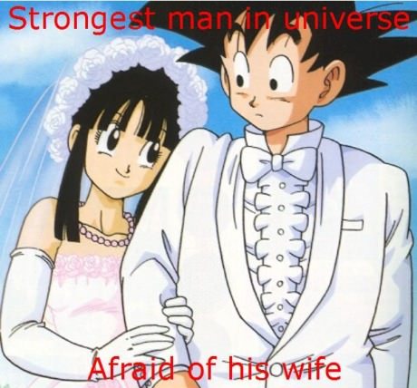 Even Goku Afraid from His Wife