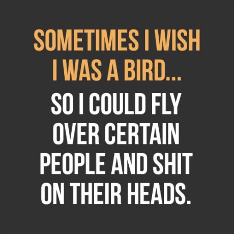 I Wish I Was A Bird