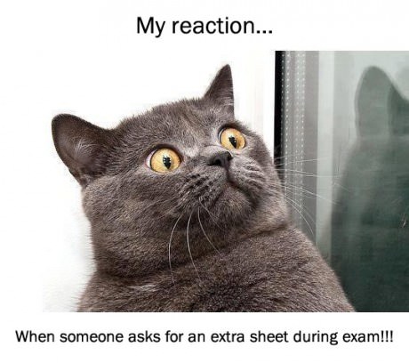 My Reaction....