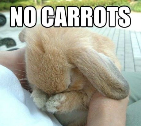 No Carrots For Me