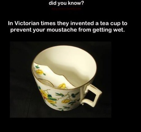 Victorian Cup