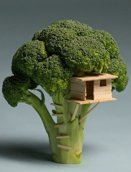 Broccolli House