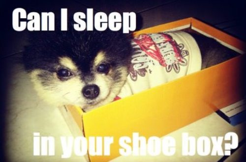 In Your Shoe Box