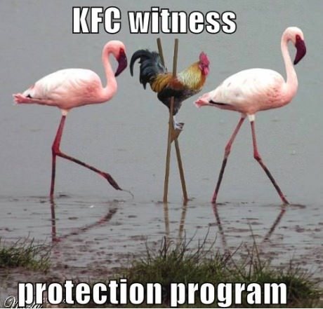 KFC Witness