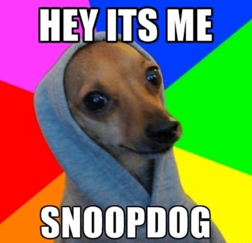 Snoopdog