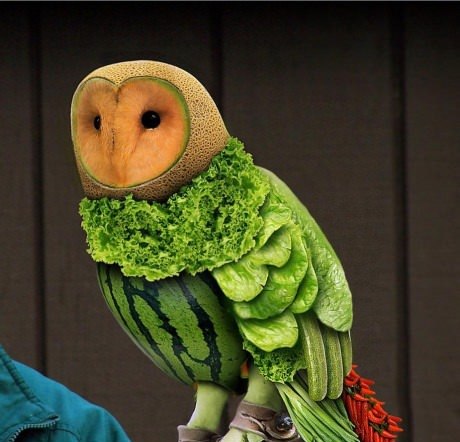 Vegetable & Fruits Owl