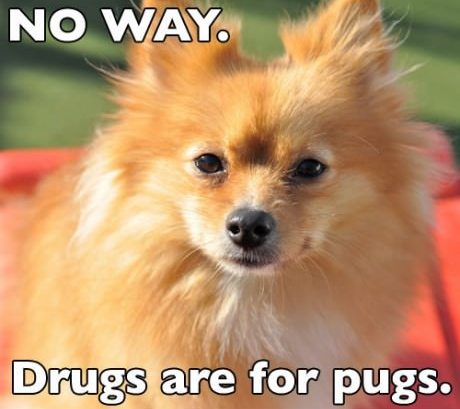 Drugs Are For Pugs