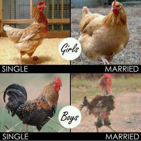 Effects Of Marriage