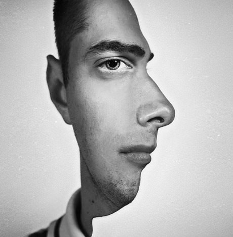 Face Illusion