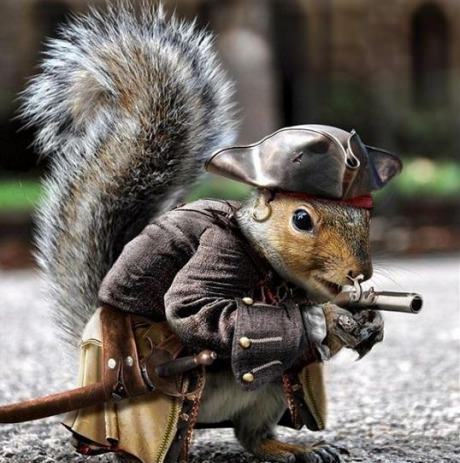 Jack Squirrel