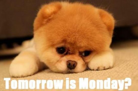 Tomorrow Is Monday