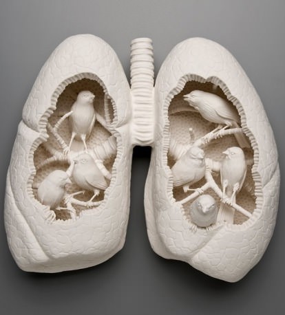 Lungs Nest