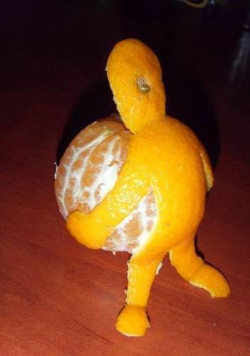 Funny Fruits/Vegetables Pictures » Orange Life