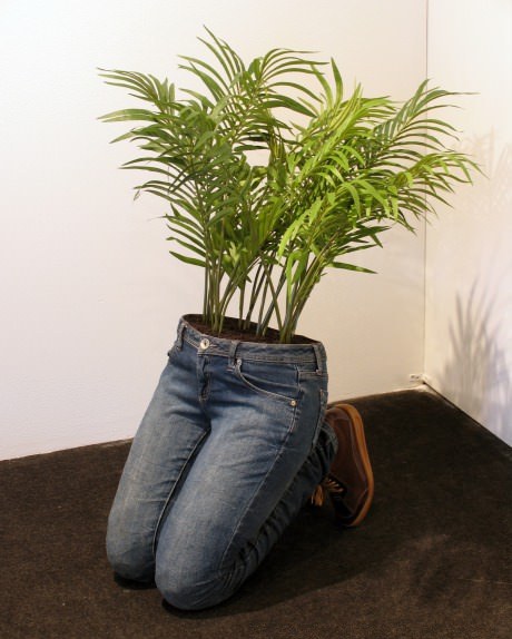 Plant In Pant