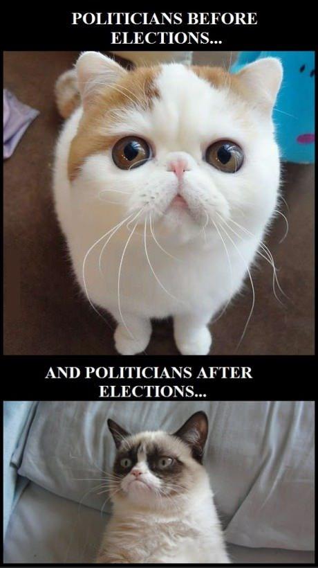 Politicians Before and After