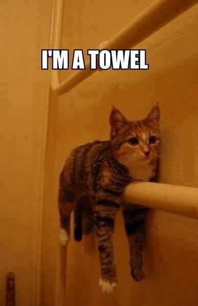 Like a Towel