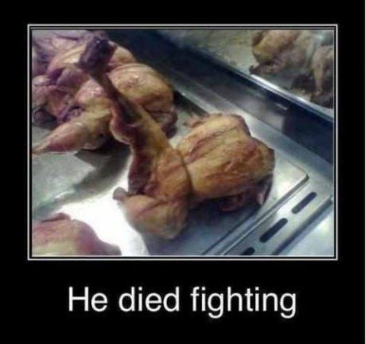 Died Fighting