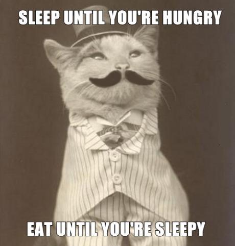 Sleep And Eat