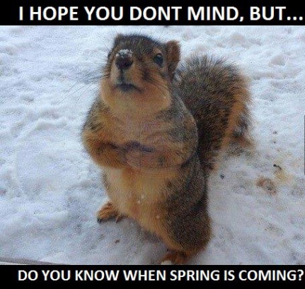 When Spring Is Coming?