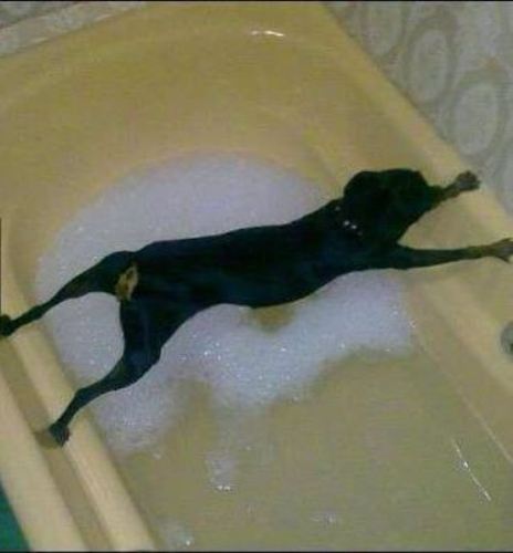 Wanna No Bath