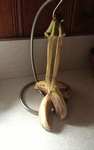 Bananas Committed Suicide