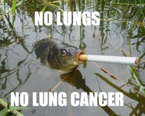 No Lungs Cancer