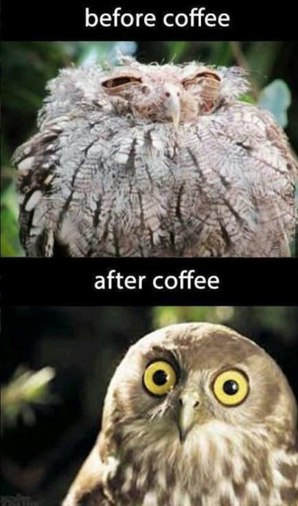 Before and after Coffee