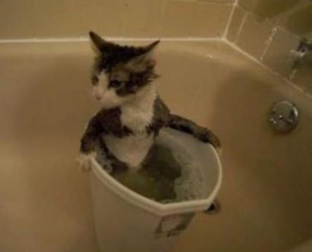 In Bathing Tub