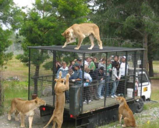 Zoo should be like that