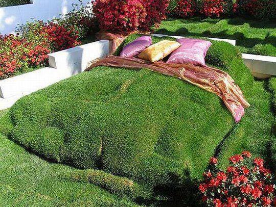 Bed Of Grass