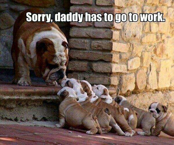 Daddy Has to Go to Work