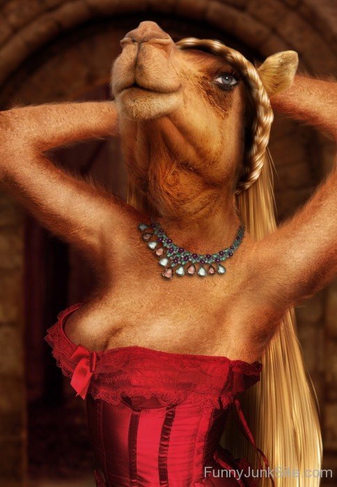 Camel Woman