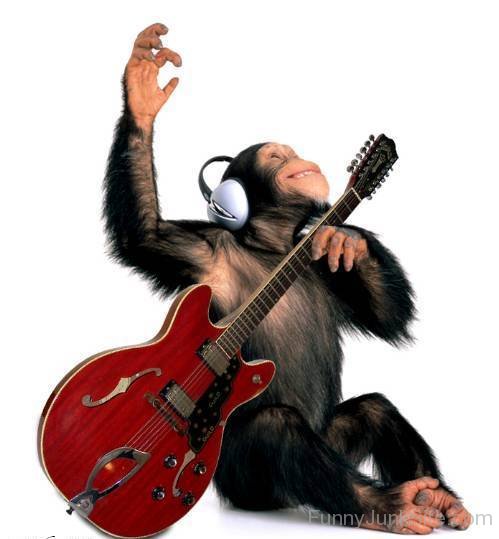 Chimpanzee Rockstar