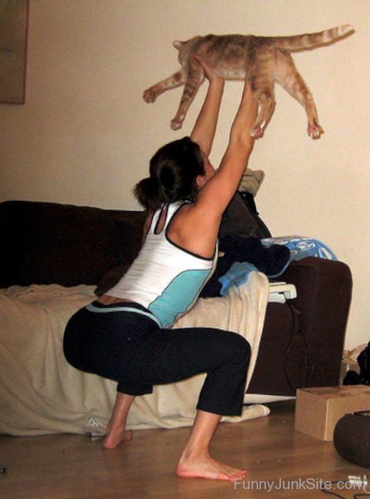 Exercise With Cat
