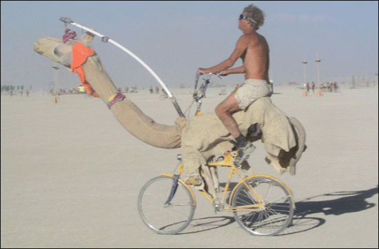 Fast Camel