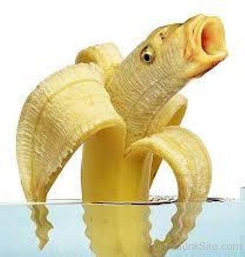 Funny Banana Fish