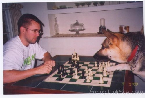 Funny Chess with Dog