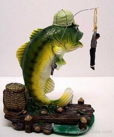 Funny Fish Catch Man