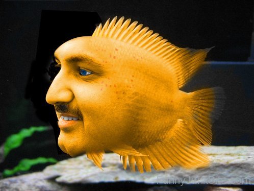Funny Man Fish Image