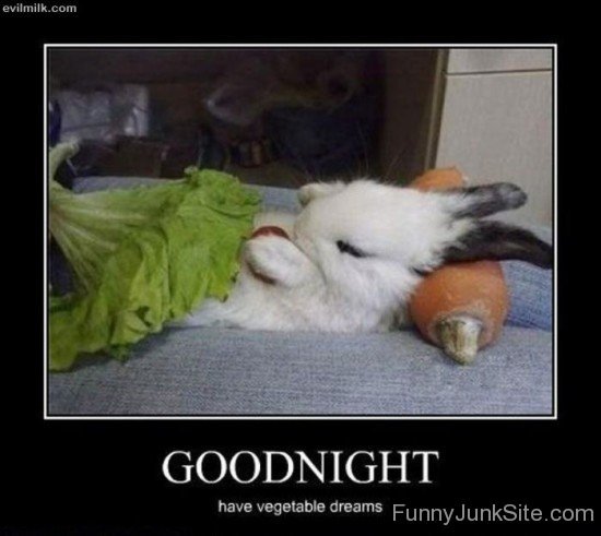 Good Night Have Vegetable Dreams