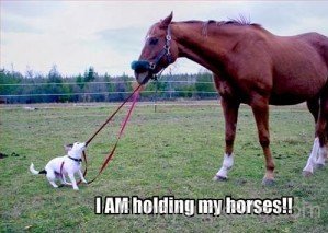 I Am Holding My Horse