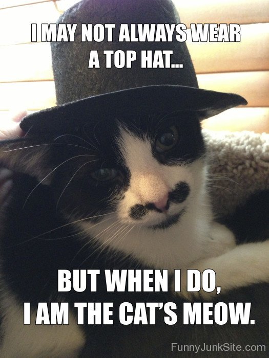 I May Not Always Wear A Top Hat