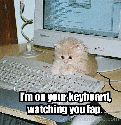 I am On Your Keyboard
