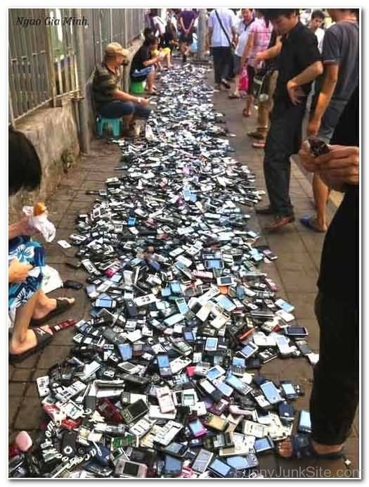 Phone Market