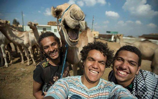 Selfie Camel