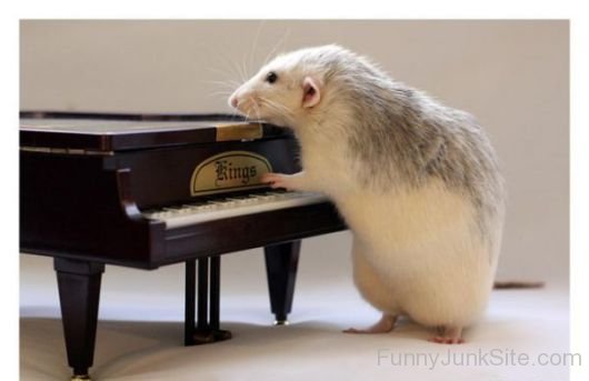 This Is My Piano