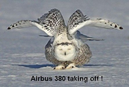 Airbus 380 Taking Off