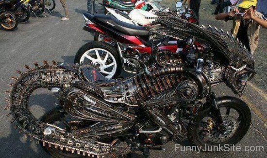 Alien Bike Funny Pic